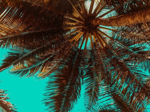 Une astuce puissante pour la loi de l&rsquo;attraction