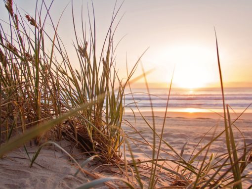 Transformer les épreuves et les blessures en occasion de grandir !