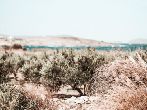 6 habitudes positives pour entrepreneure