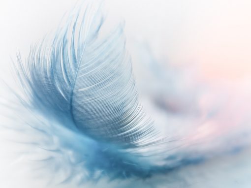 Comment utiliser la loi de l&rsquo;attraction dans son entreprise