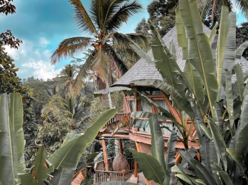 Quelles differences entre estime de soi et confiance en soi