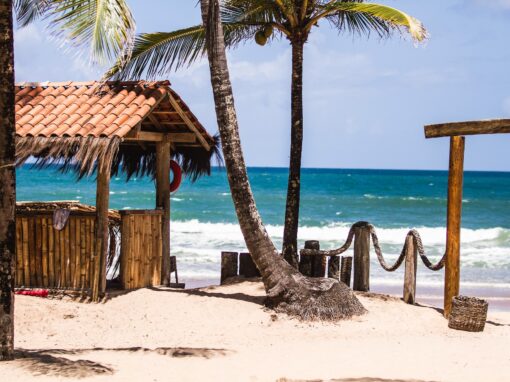 Comment pratiquer la gratitude au quotidien