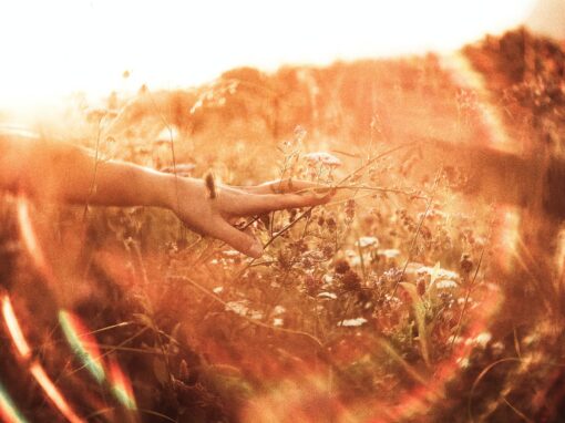 hypersensibles : les 5 besoins pour être heureuse !