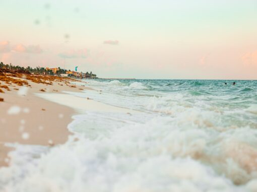 Comment retrouver sa place de Natacha Calestrémé