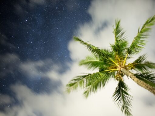 Bien-être et santé mentale : les signes qui doivent t&rsquo;alerter!